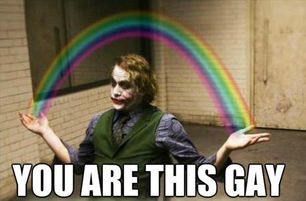 you-are-this-gay-funny-joker-pictures