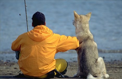 Canine Fisherman