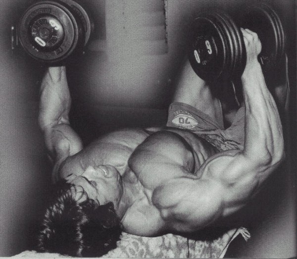 Arnold-Workout-2-600x523