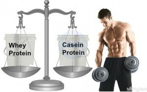 whey-protein-vs-casein-protein