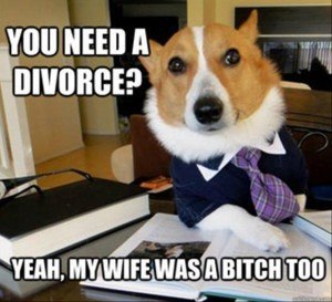 divorce-dog-meme