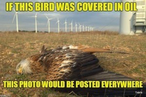 As long as a wind farm chops endangered species out of the sky, it's okay