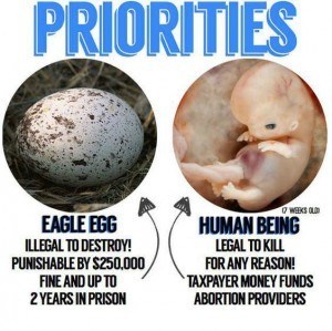 Killing a fertilized human egg is less a concern than killing an eagle egg to the left