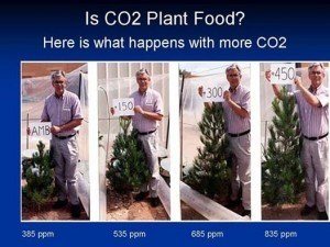 Yes, CO2 is plant food