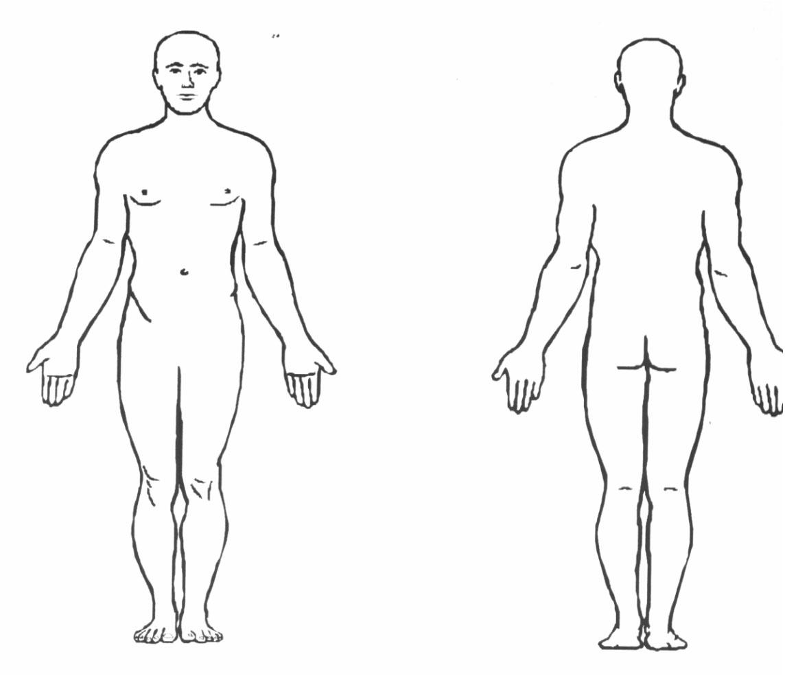 anatomical_position1317003355963