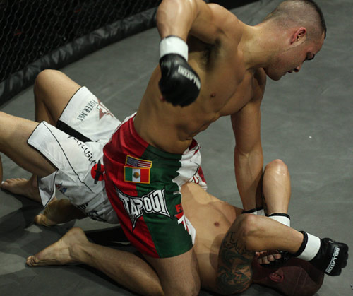4. you can follow up by striking your opponent on the ground in order to end the fight