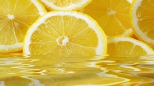 Lemon slices background, close-up