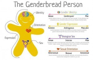 GenderbreadPerson