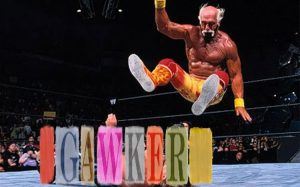 Hulk Hogan body slammed Gawker into Chapter 11