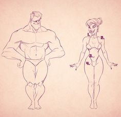 ideal male and female form