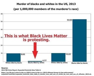Statistics about black crime
